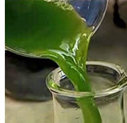 beaker pouring green ooze into a test tube