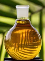 flask of vegetable oil in front of palm leaf